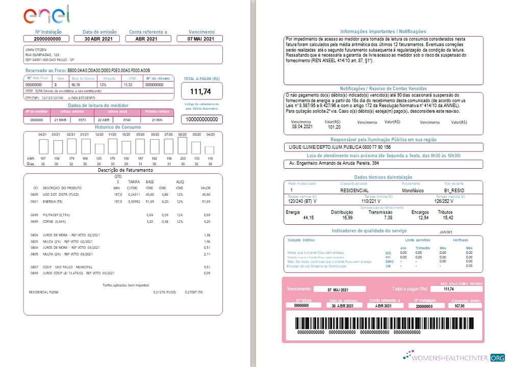 download download Brazil ENEL electricity utility bill (2 pages)